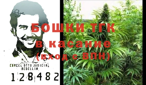 шишки Осташков